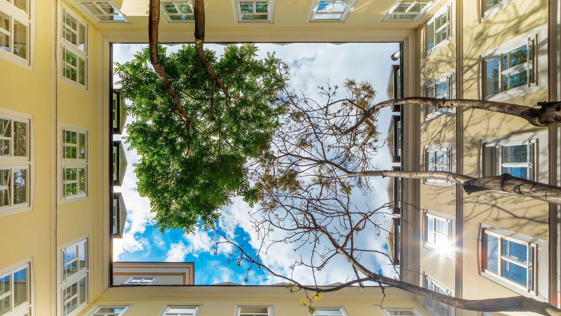 The Levante Rathaus Apartments Viyana Avusturya